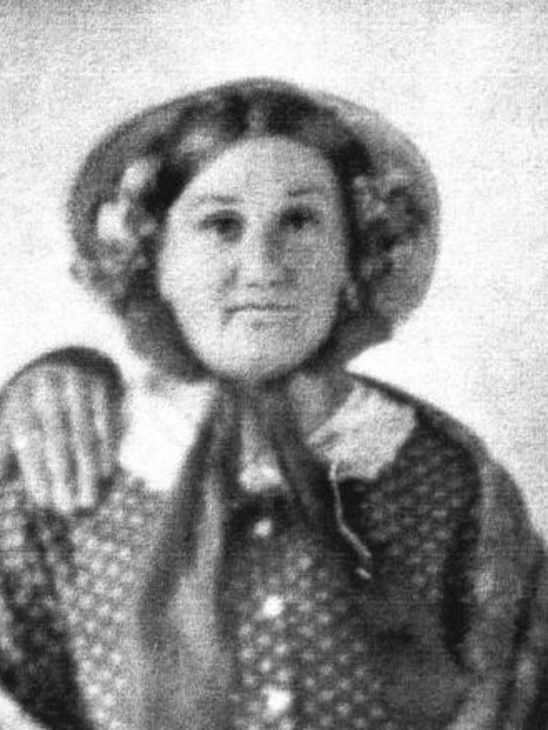 Ann Dutton (1817 - 1876) Profile